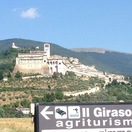 Agriturismo Il Girasole أسيسي المظهر الخارجي الصورة