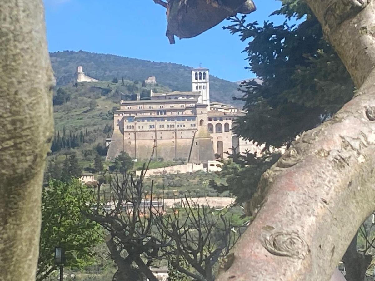 Agriturismo Il Girasole أسيسي المظهر الخارجي الصورة