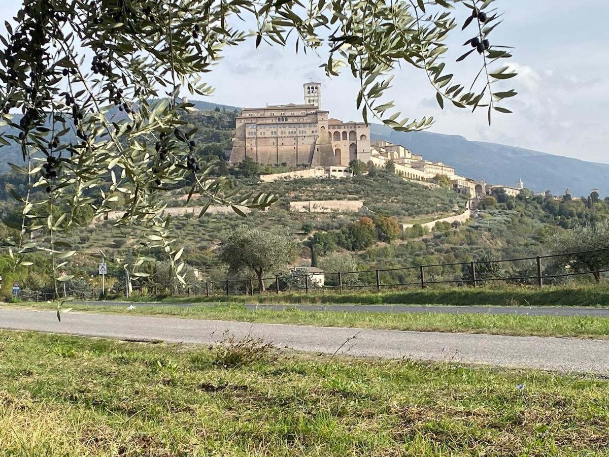 Agriturismo Il Girasole أسيسي المظهر الخارجي الصورة