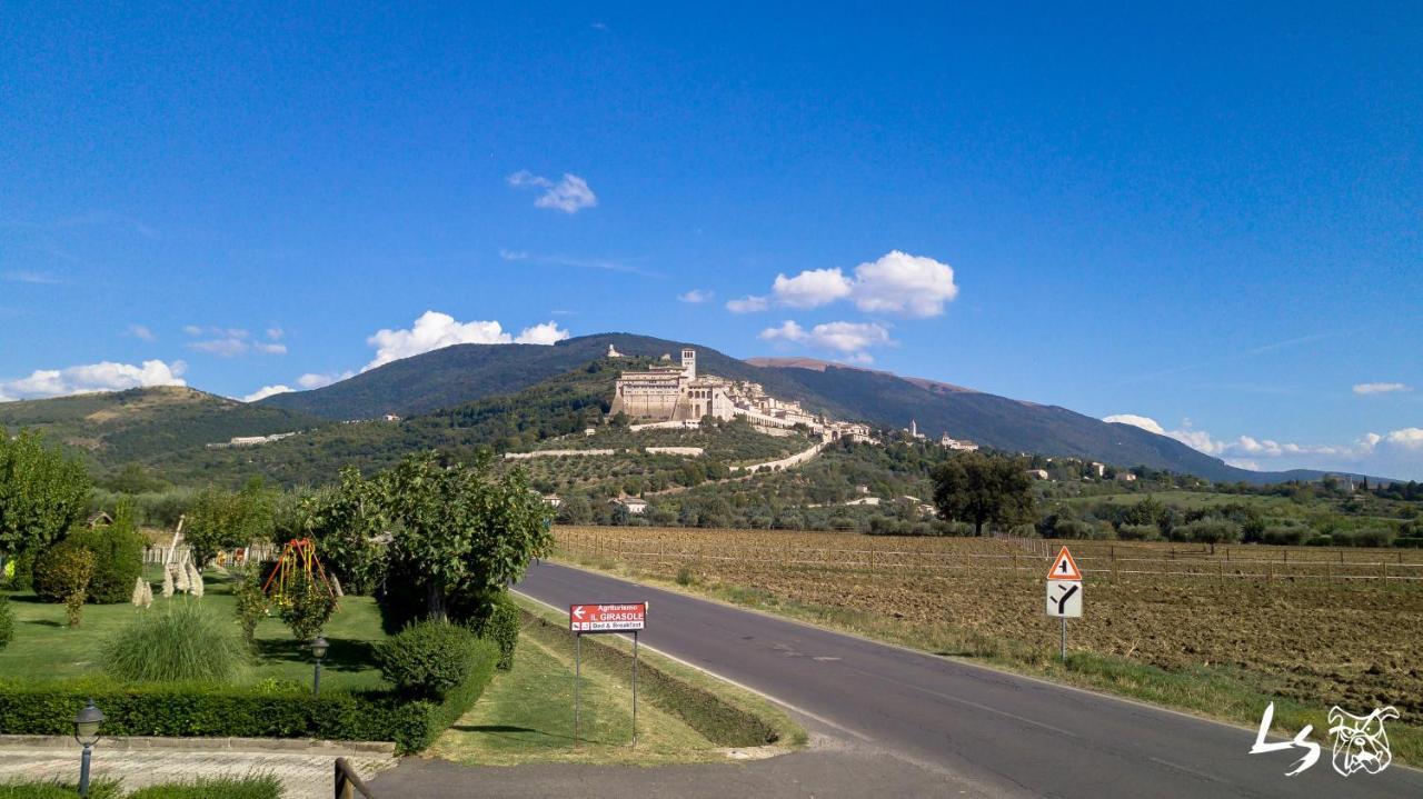 Agriturismo Il Girasole أسيسي المظهر الخارجي الصورة