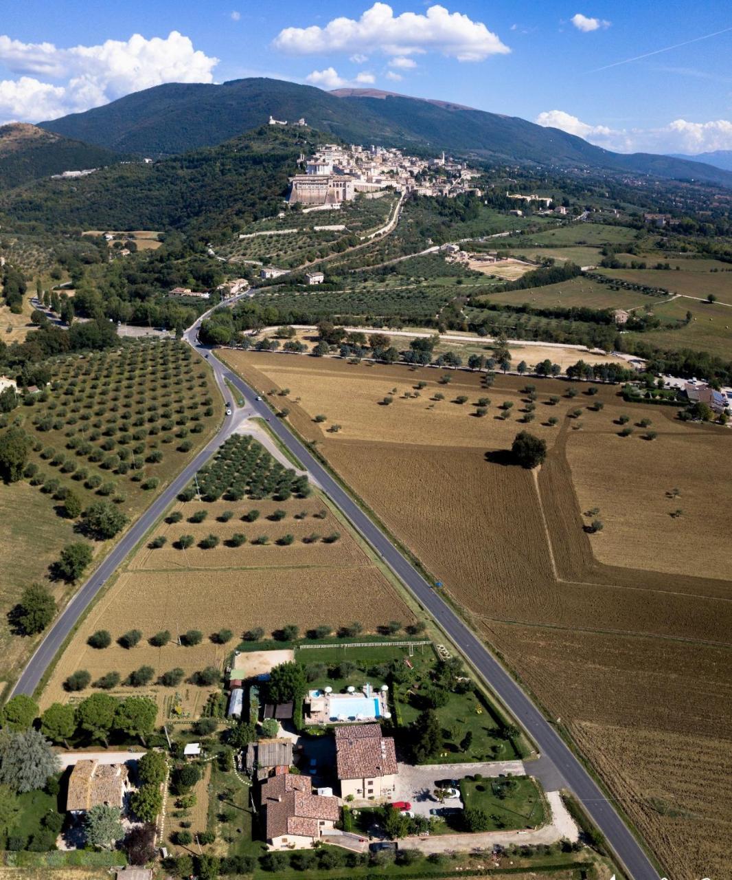 Agriturismo Il Girasole أسيسي المظهر الخارجي الصورة