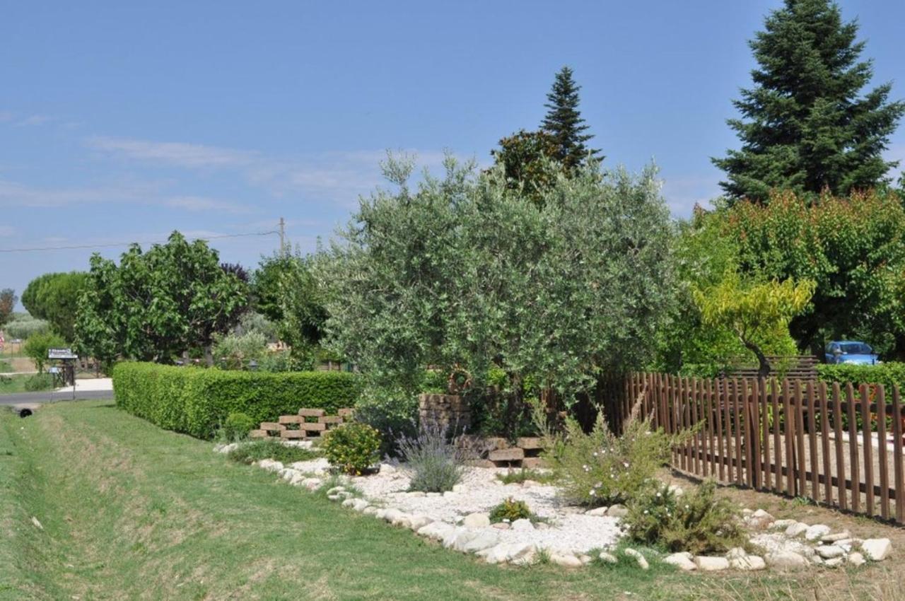 Agriturismo Il Girasole أسيسي المظهر الخارجي الصورة