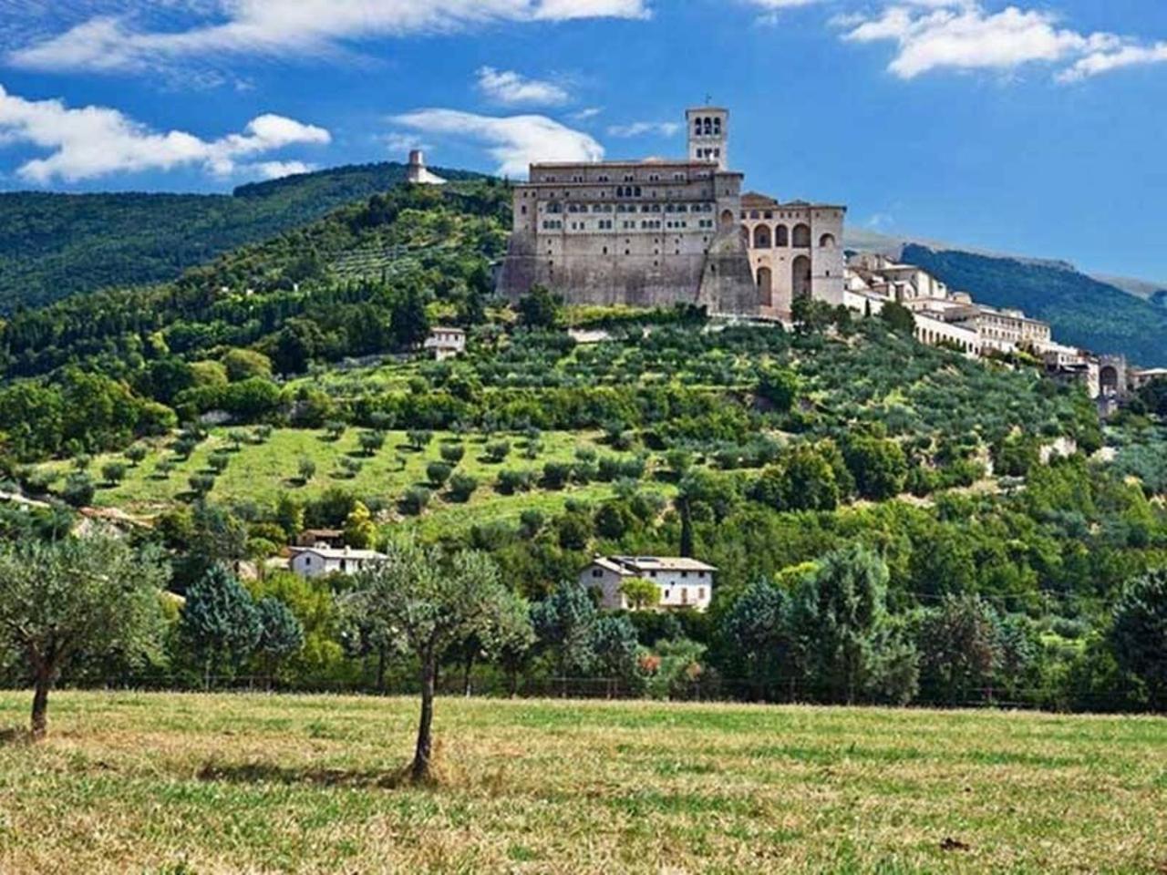 Agriturismo Il Girasole أسيسي المظهر الخارجي الصورة